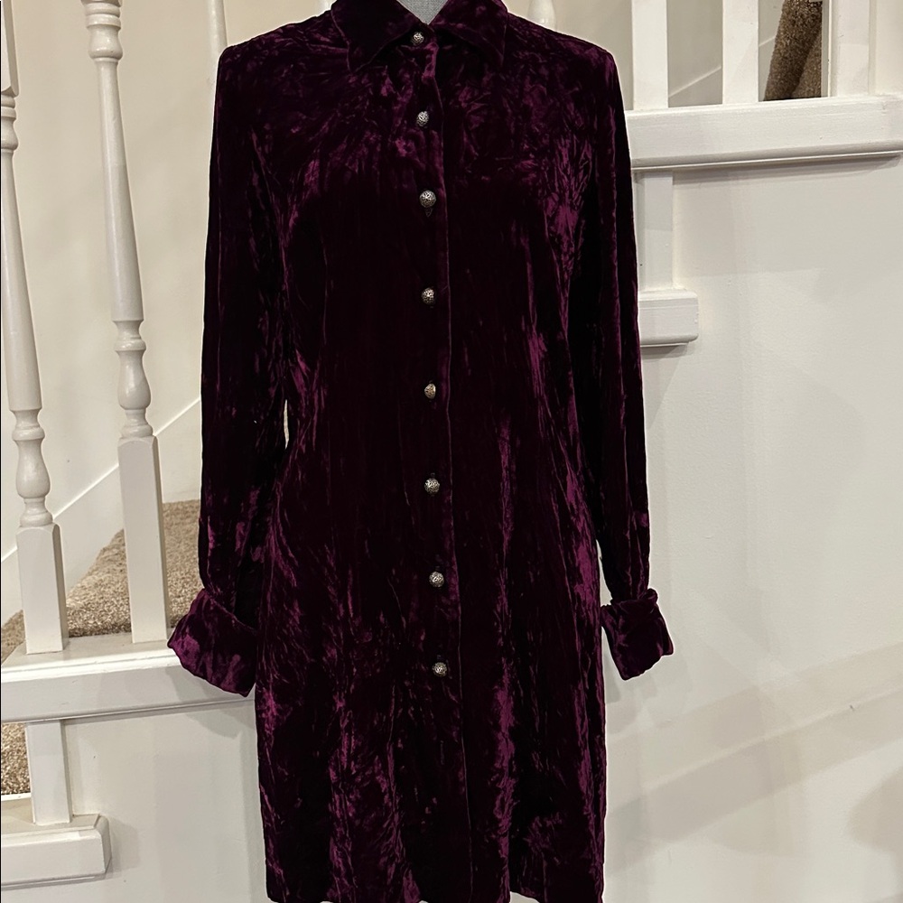 Hugo Buscati  velvet dress
